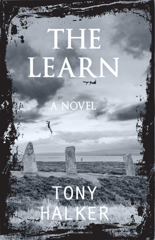 Cover of the book The Learn by Tony Halker, Clink Street Publishing