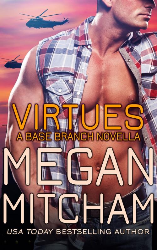 Cover of the book Virtues by Megan Mitcham, Megan Mitcham