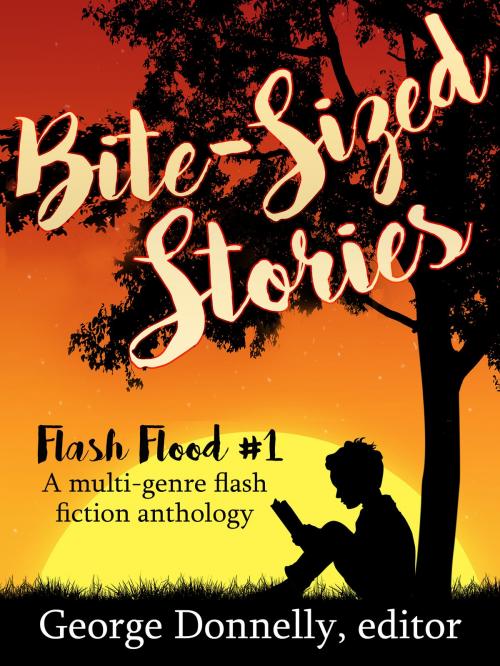 Cover of the book Bite-Sized Stories by George Donnelly, Phronk, Adan Ramie, Griffin Carmichael, George Saoulidis, K. D. McAdams, Michael Barbato-Dunn, Tom Germann, Emily Martha Sorensen, Karen Diem, Raquel Lyon, J.T. Williams, Tricia Owens, Lynda Belle, Connie B. Dowell, Brian Manning, JC Kang, Jessie Thomas, Adam Hughes, Jaleta Clegg, Marilyn Vix, J. David Core, Jamie Campbell, Jennifer Lewis, Andrew K. Lawston, Cheverer