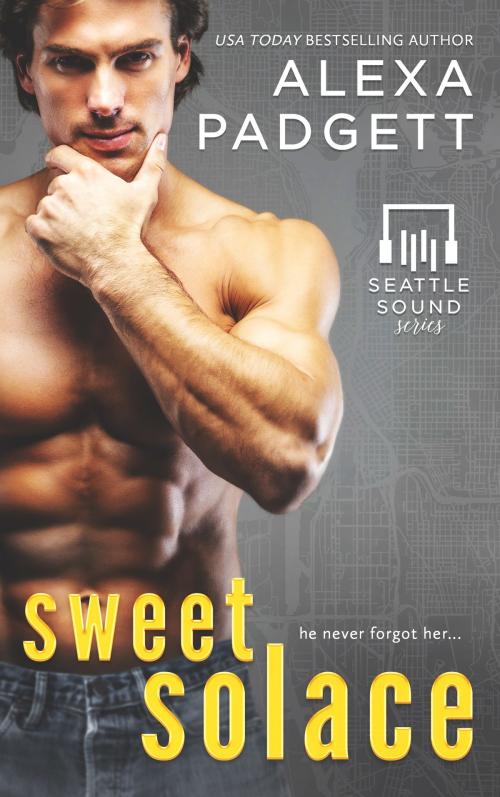 Cover of the book Sweet Solace by Alexa Padgett, Sidecar Press LLC