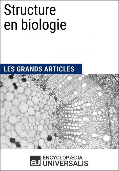 Cover of the book Structure en biologie by Encyclopaedia Universalis, Encyclopaedia Universalis