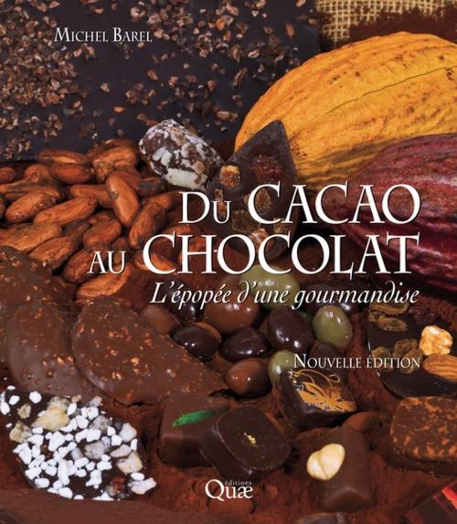 Cover of the book Du cacao au chocolat by Michel Barel, Quae