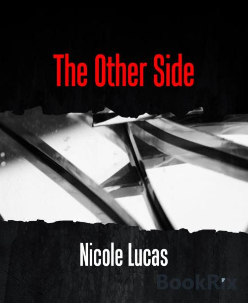 Cover of the book The Other Side by Nicole Lucas, BookRix