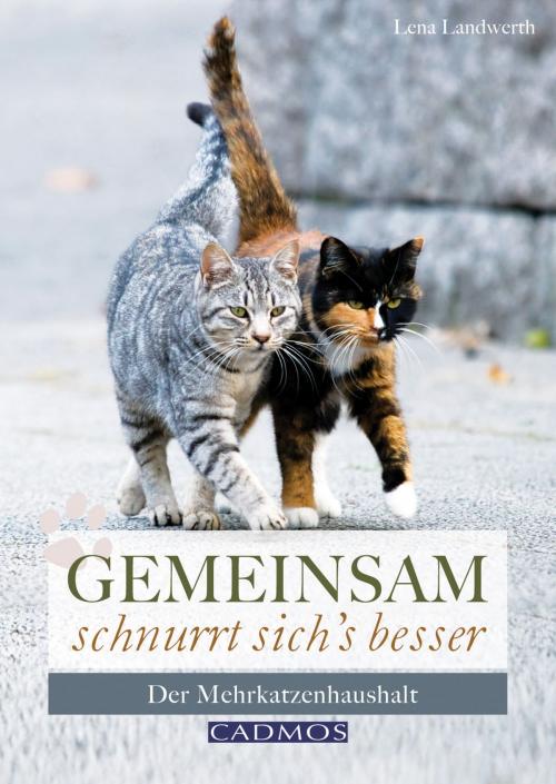 Cover of the book Gemeinsam schnurrt sich's besser by Lena Landwerth, Cadmos Verlag