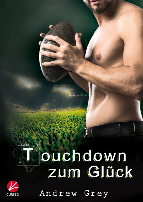 Cover of the book Touchdown zum Glück by Andrew Grey, Cursed Verlag