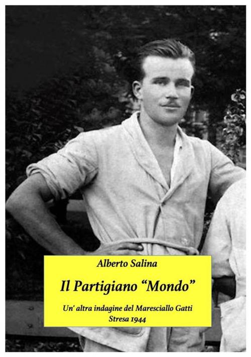 Cover of the book Il partigiano "Mondo" by Alberto Salina, Alberto Salina