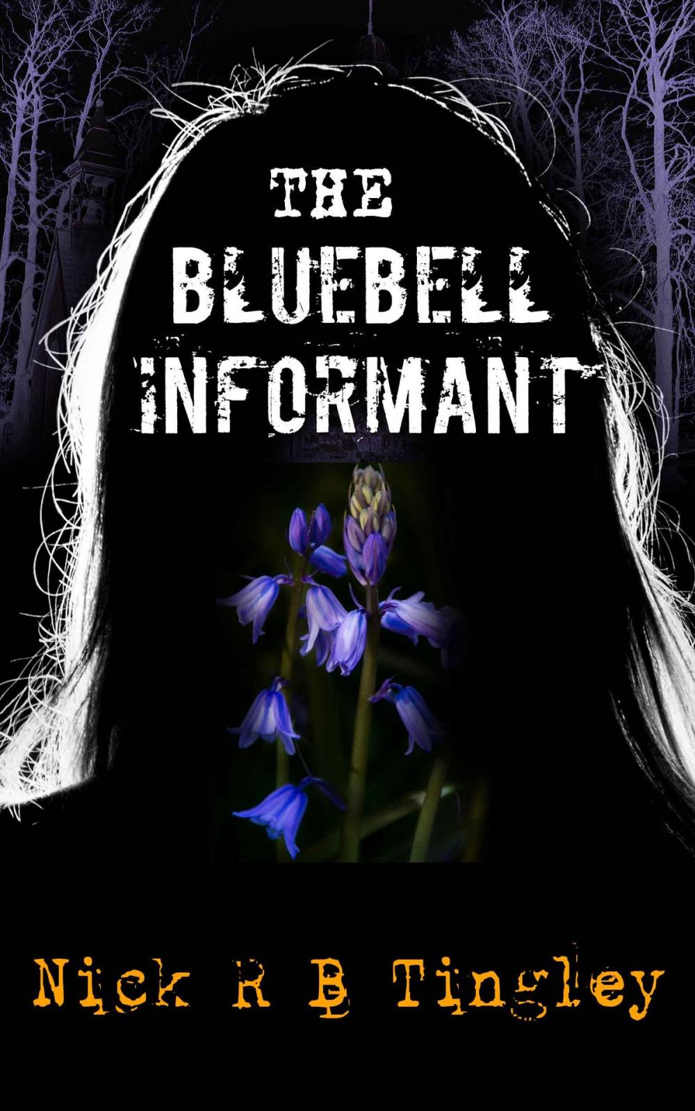 Big bigCover of The Bluebell Informant