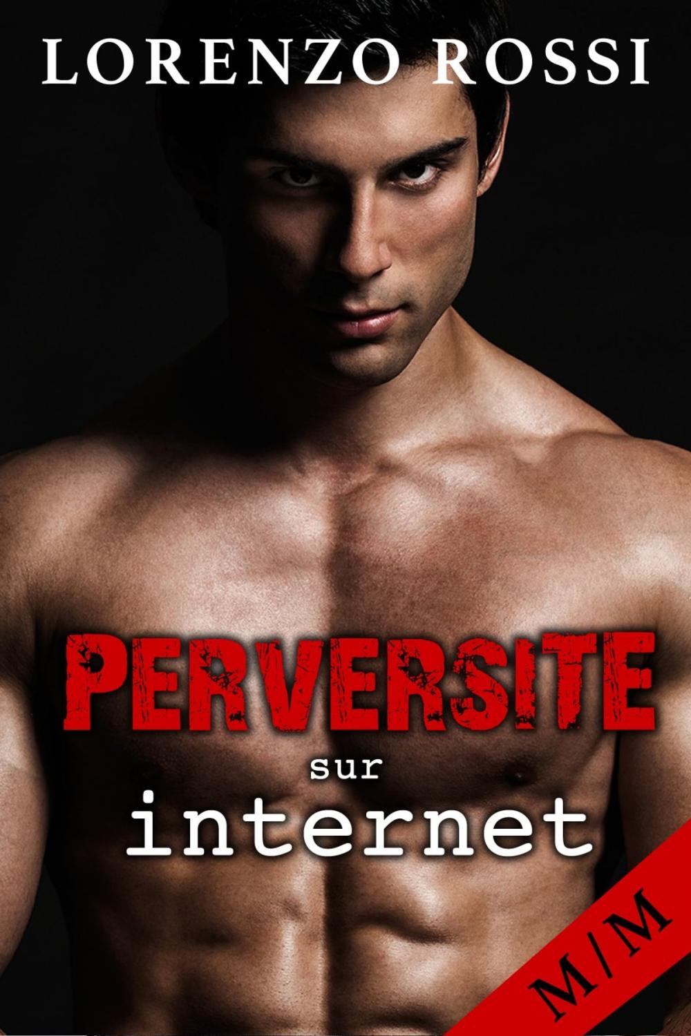 Big bigCover of Perversité sur Internet