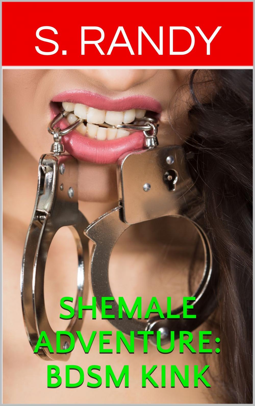 Big bigCover of Shemale Adventure: BDSM Kink