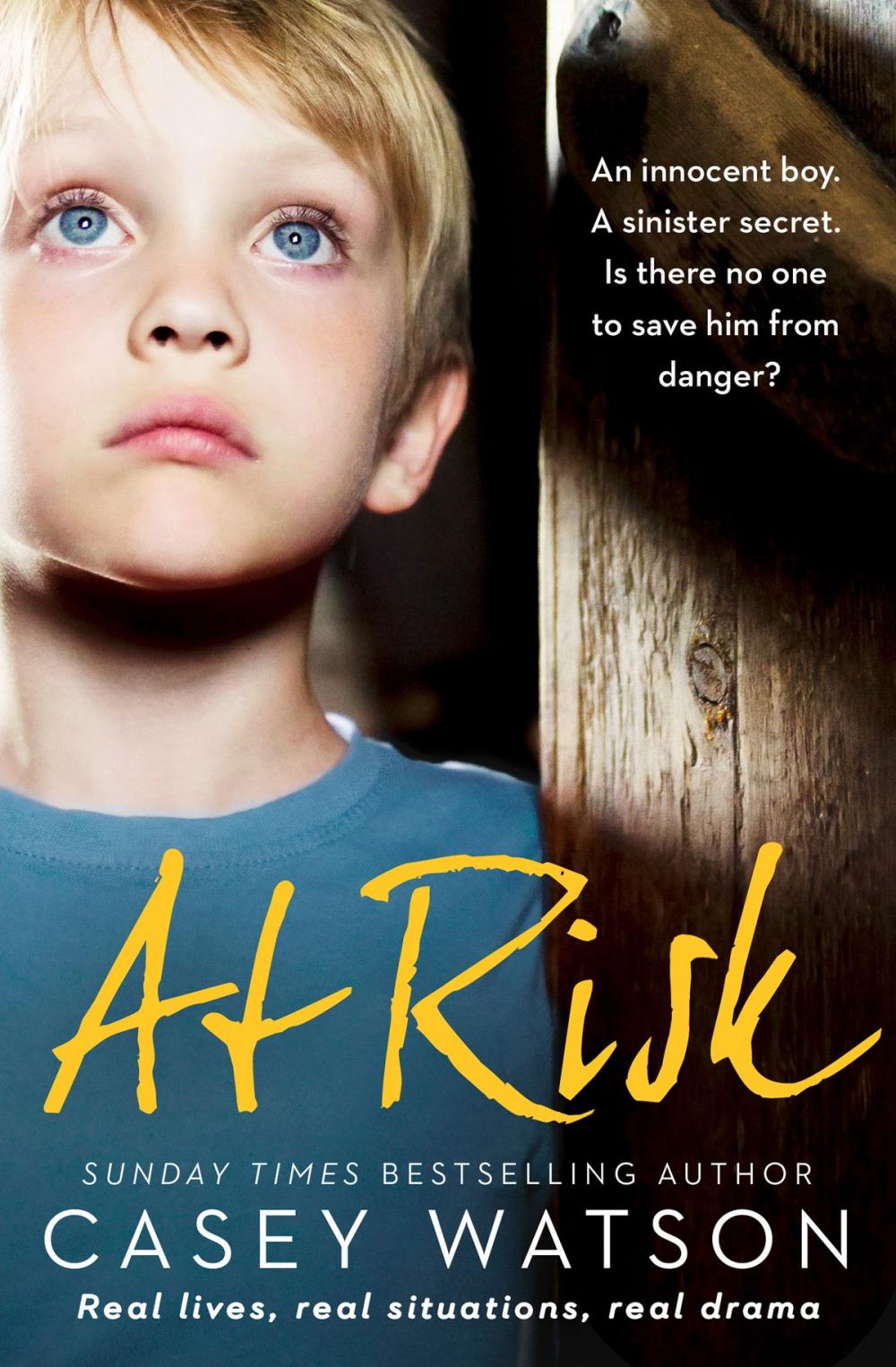 Big bigCover of At Risk: An innocent boy. A sinister secret. Is there no one to save him from danger?