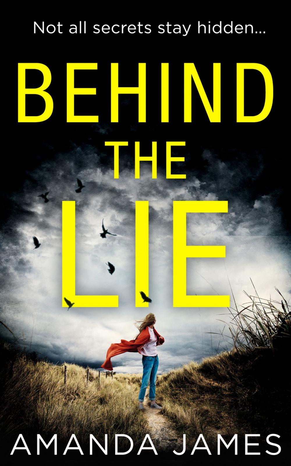 Big bigCover of Behind the Lie