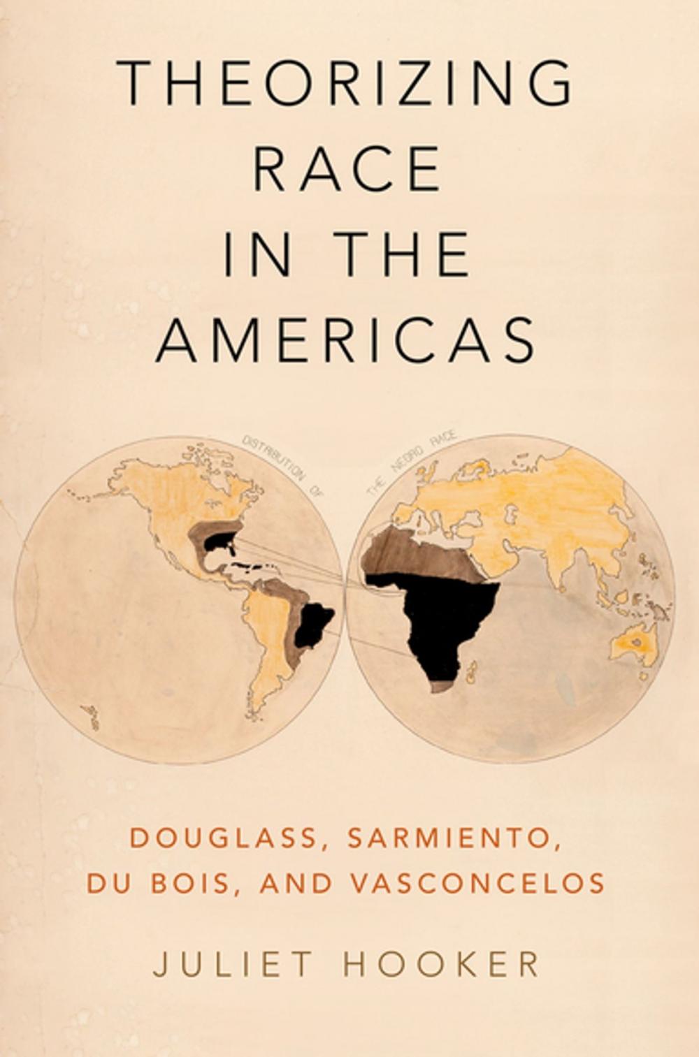 Big bigCover of Theorizing Race in the Americas