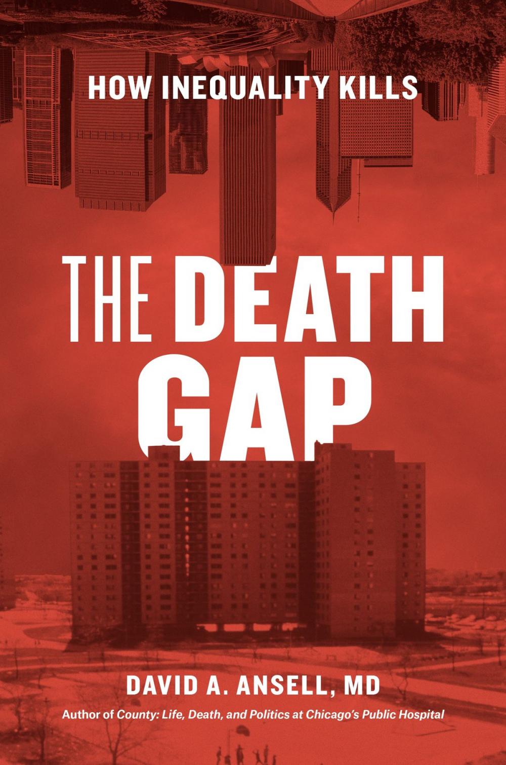 Big bigCover of The Death Gap