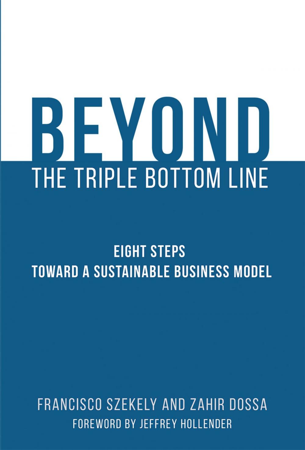 Big bigCover of Beyond the Triple Bottom Line