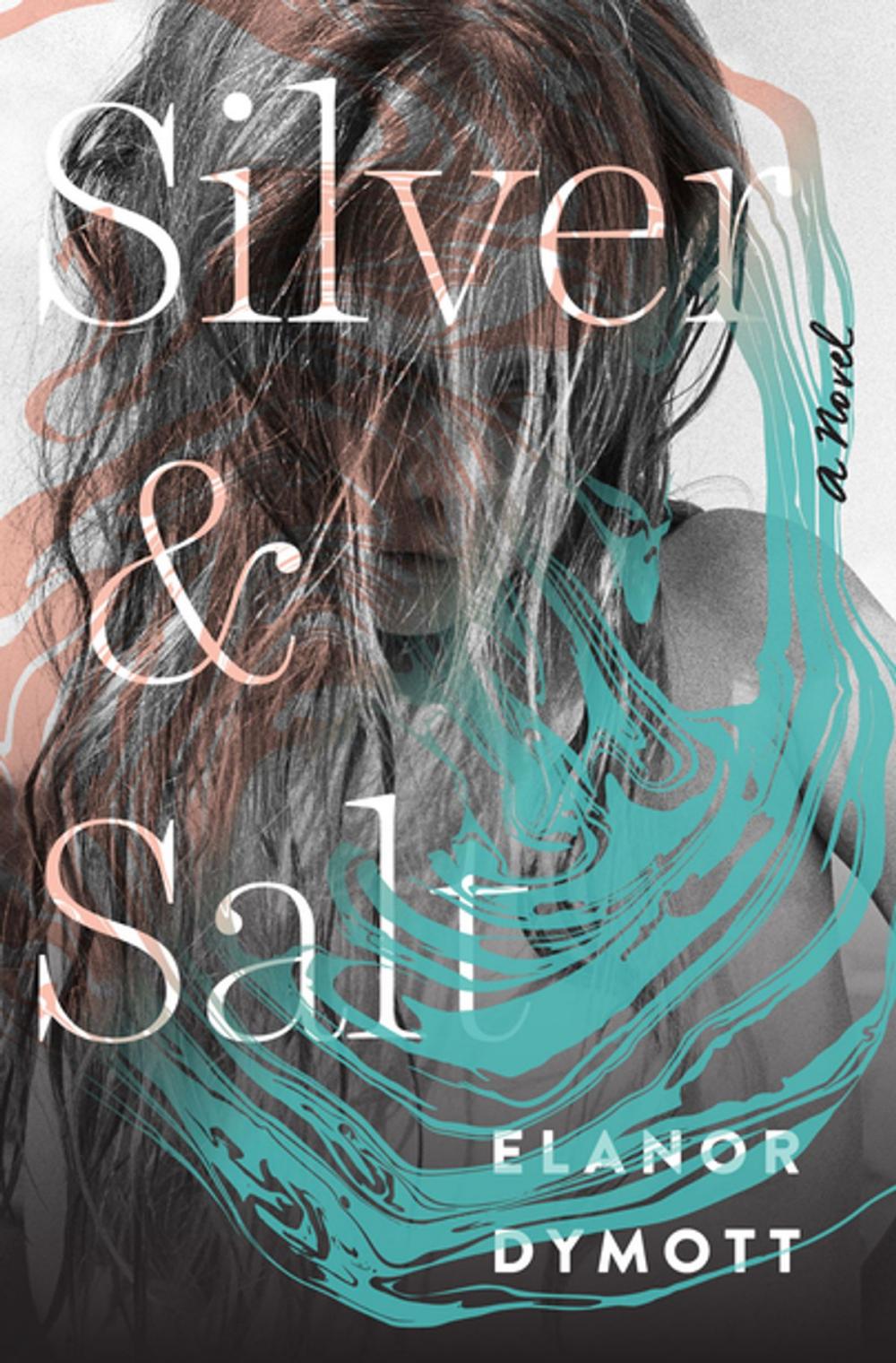 Big bigCover of Silver and Salt: A Novel