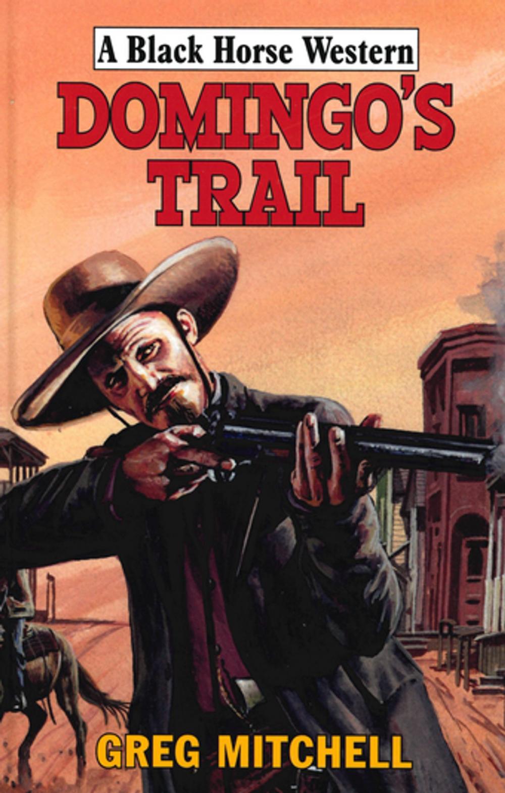 Big bigCover of Domingo's Trail