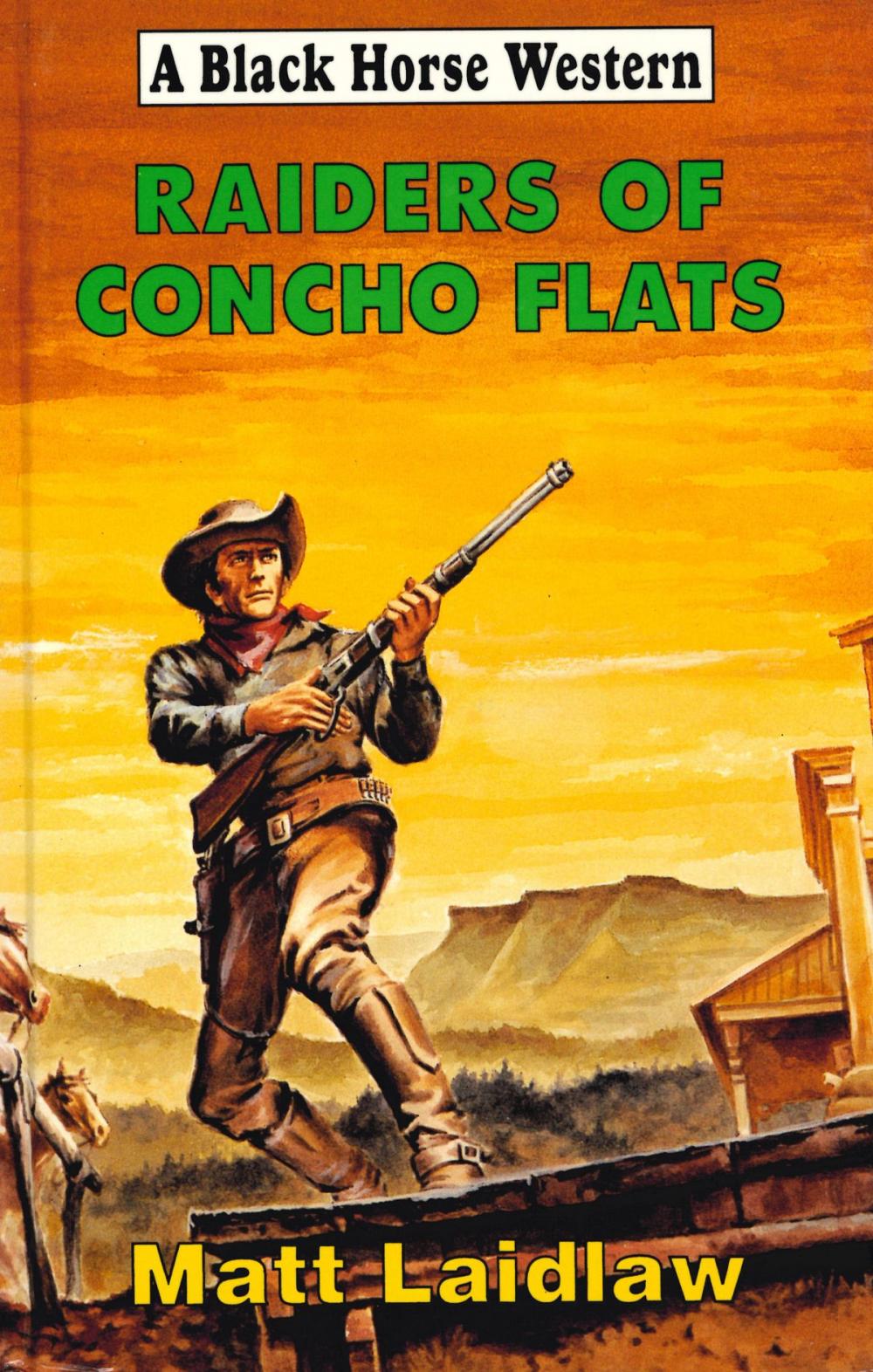 Big bigCover of Raiders of Concho Flats