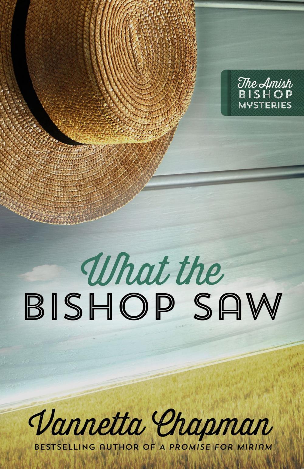 Big bigCover of What the Bishop Saw