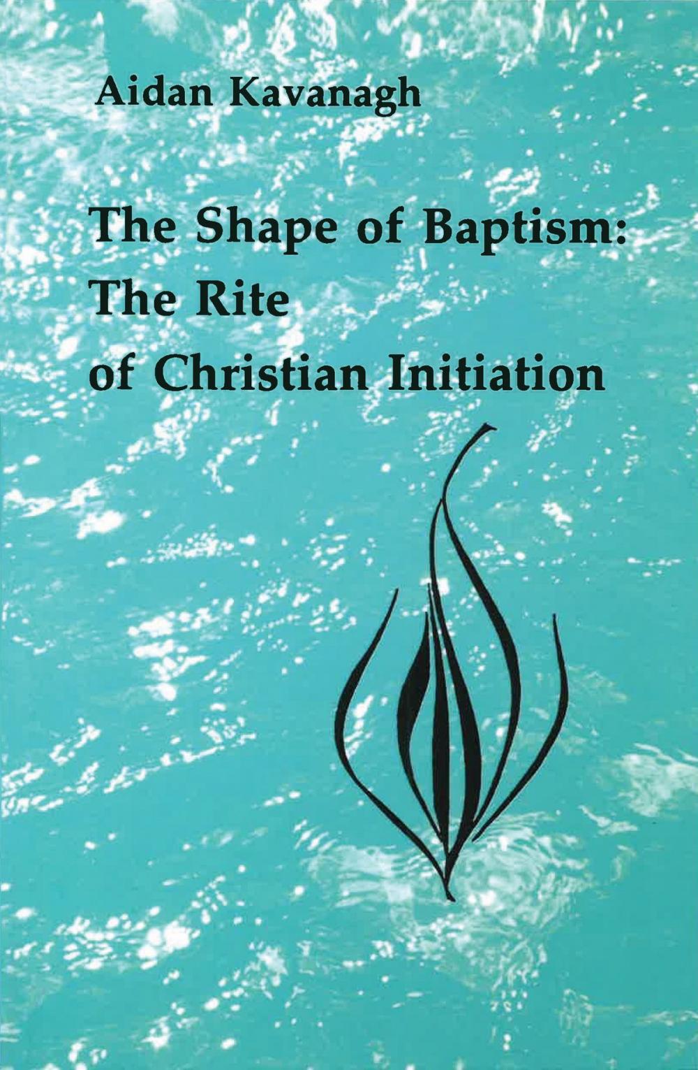 Big bigCover of The Shape of Baptism