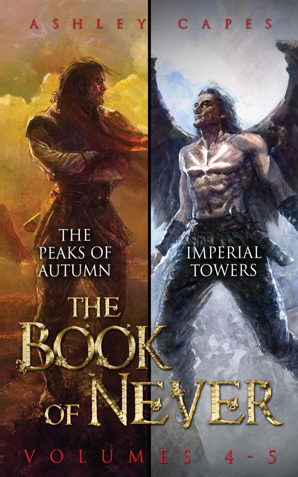 Big bigCover of The Book of Never