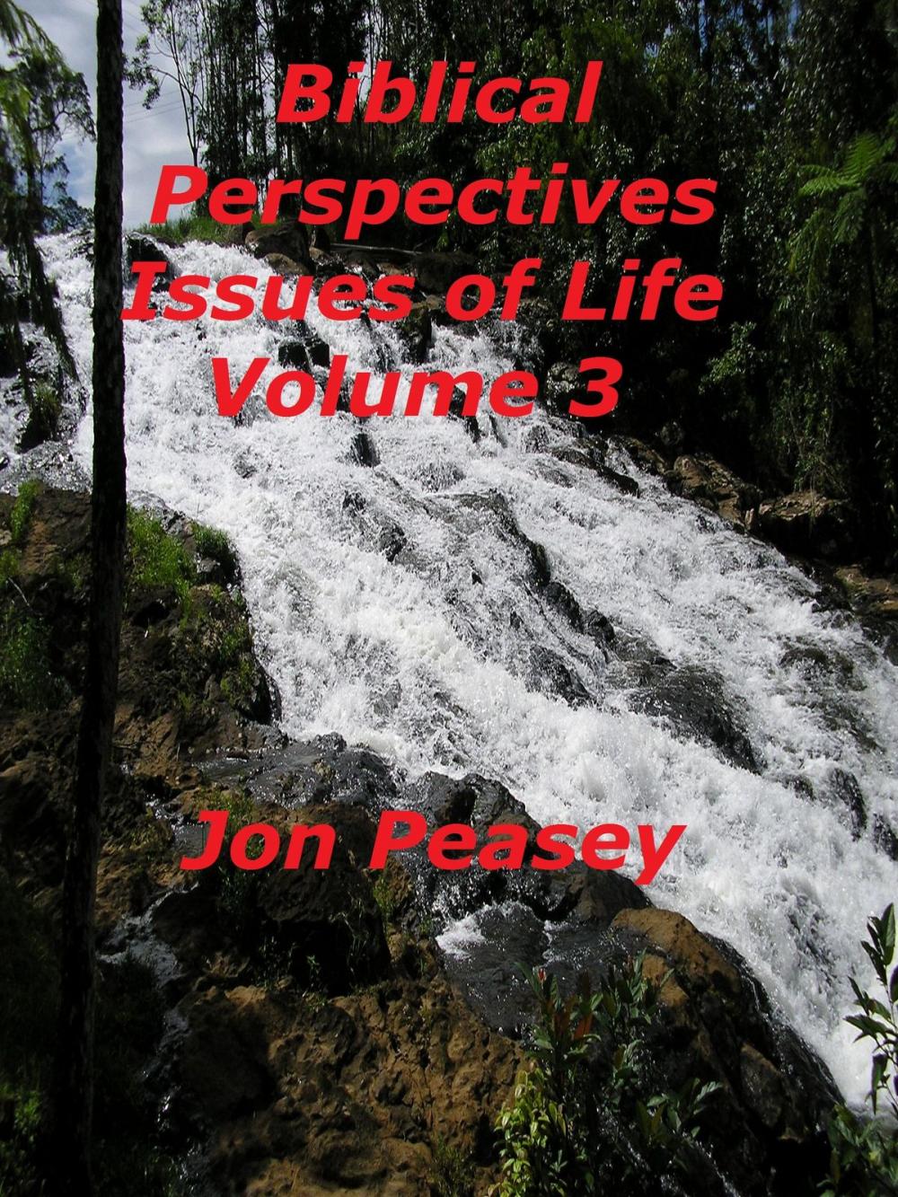 Big bigCover of Biblical Perspectives Issues of Life Volume 3