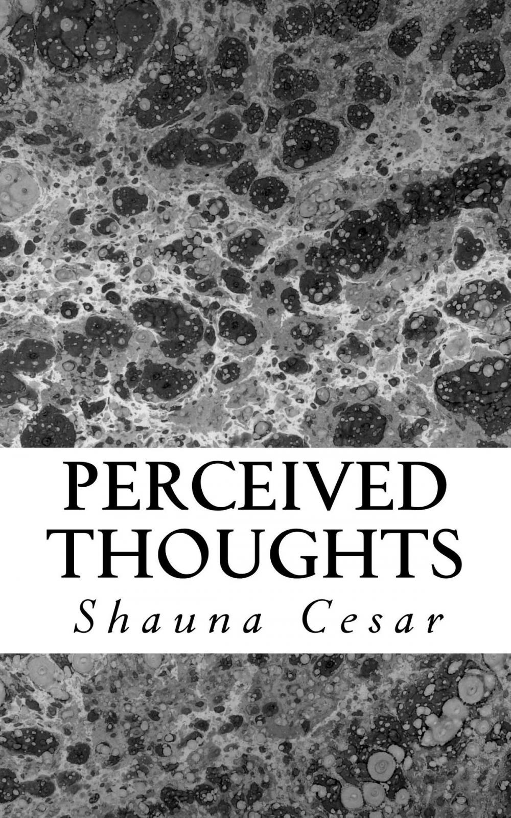 Big bigCover of Perceived Thoughts