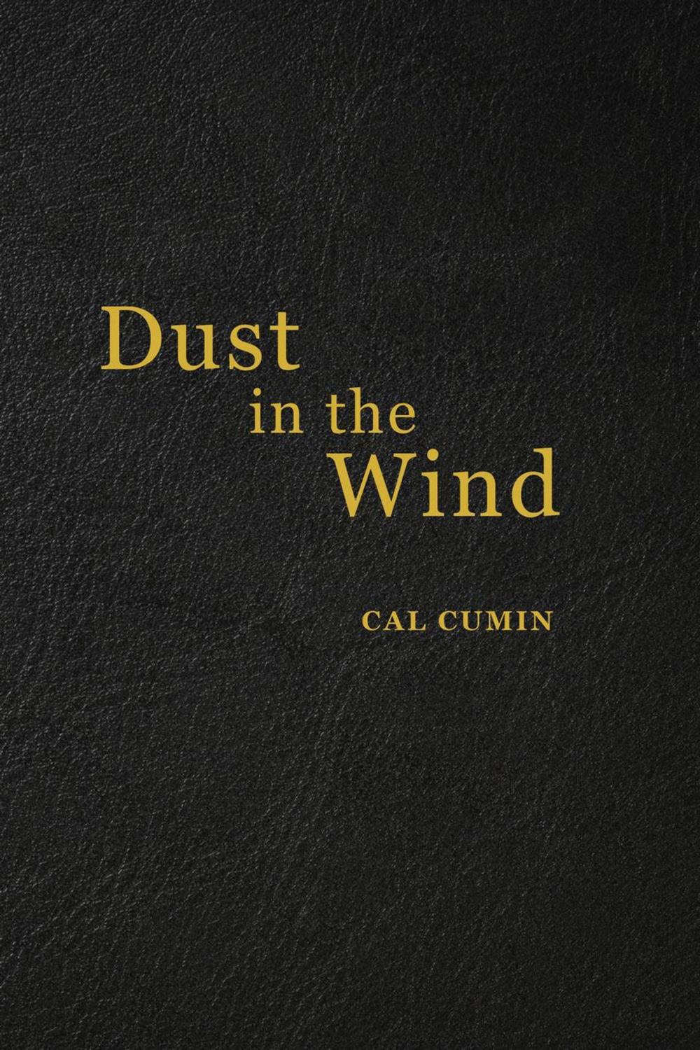 Big bigCover of Dust in the Wind, Poetry of a Time