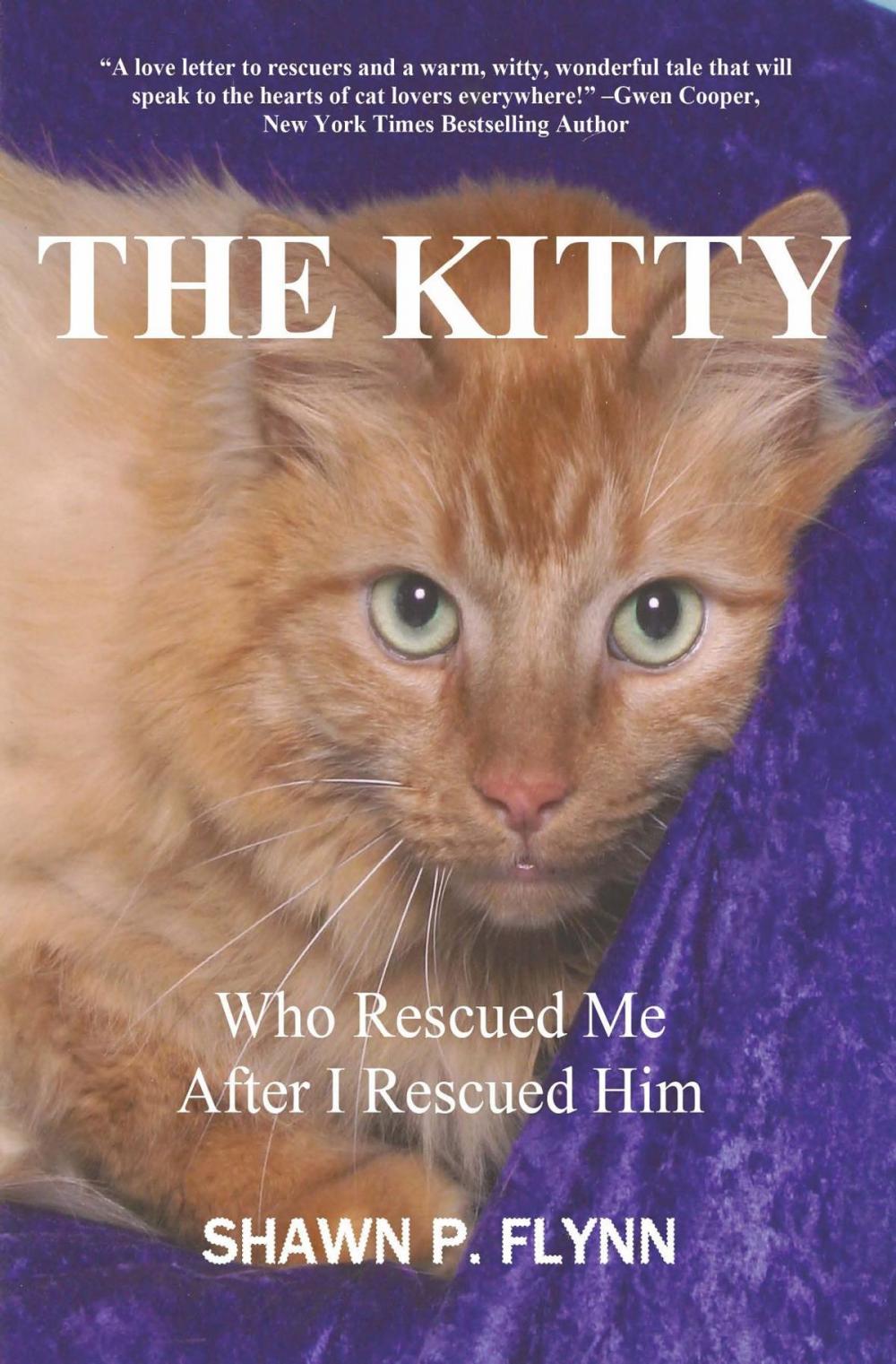 Big bigCover of THE KITTY