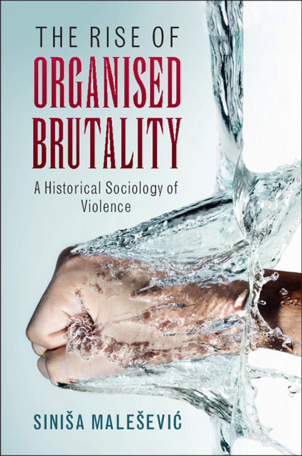 Big bigCover of The Rise of Organised Brutality