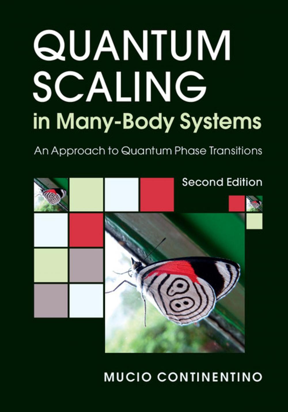 Big bigCover of Quantum Scaling in Many-Body Systems