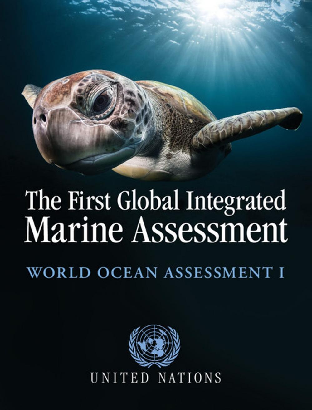 Big bigCover of The First Global Integrated Marine Assessment