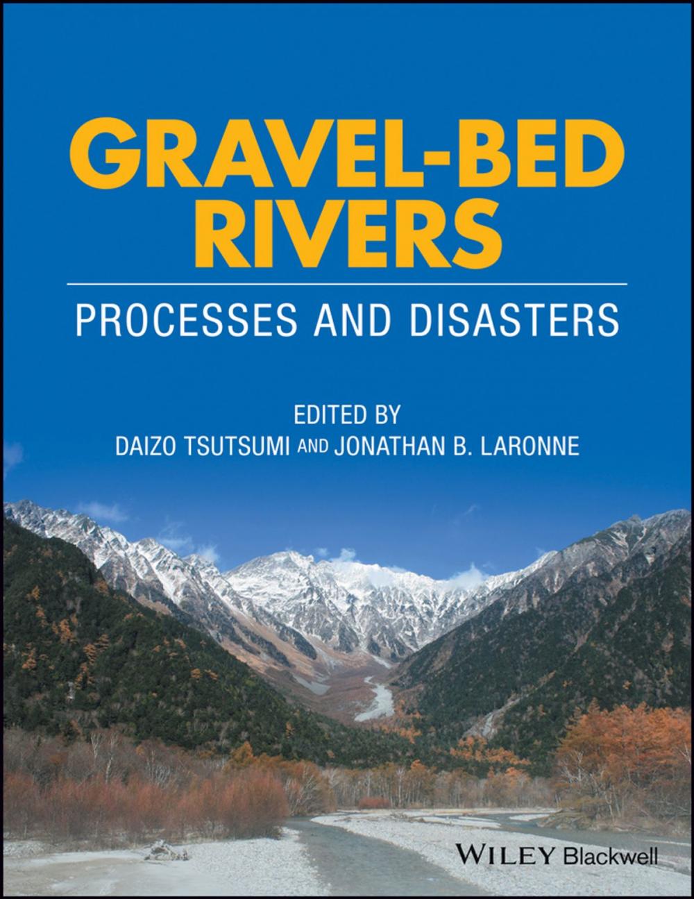 Big bigCover of Gravel-Bed Rivers