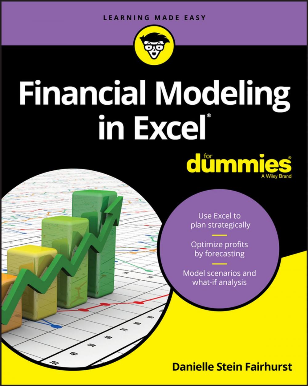 Big bigCover of Financial Modeling in Excel For Dummies