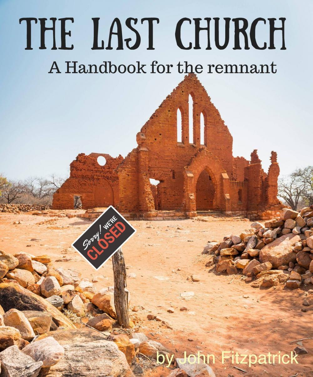 Big bigCover of The Last Church: A Handbook for the Remnant