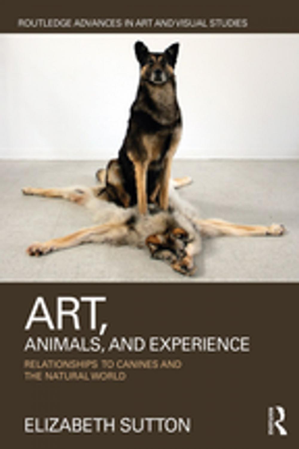 Big bigCover of Art, Animals, and Experience