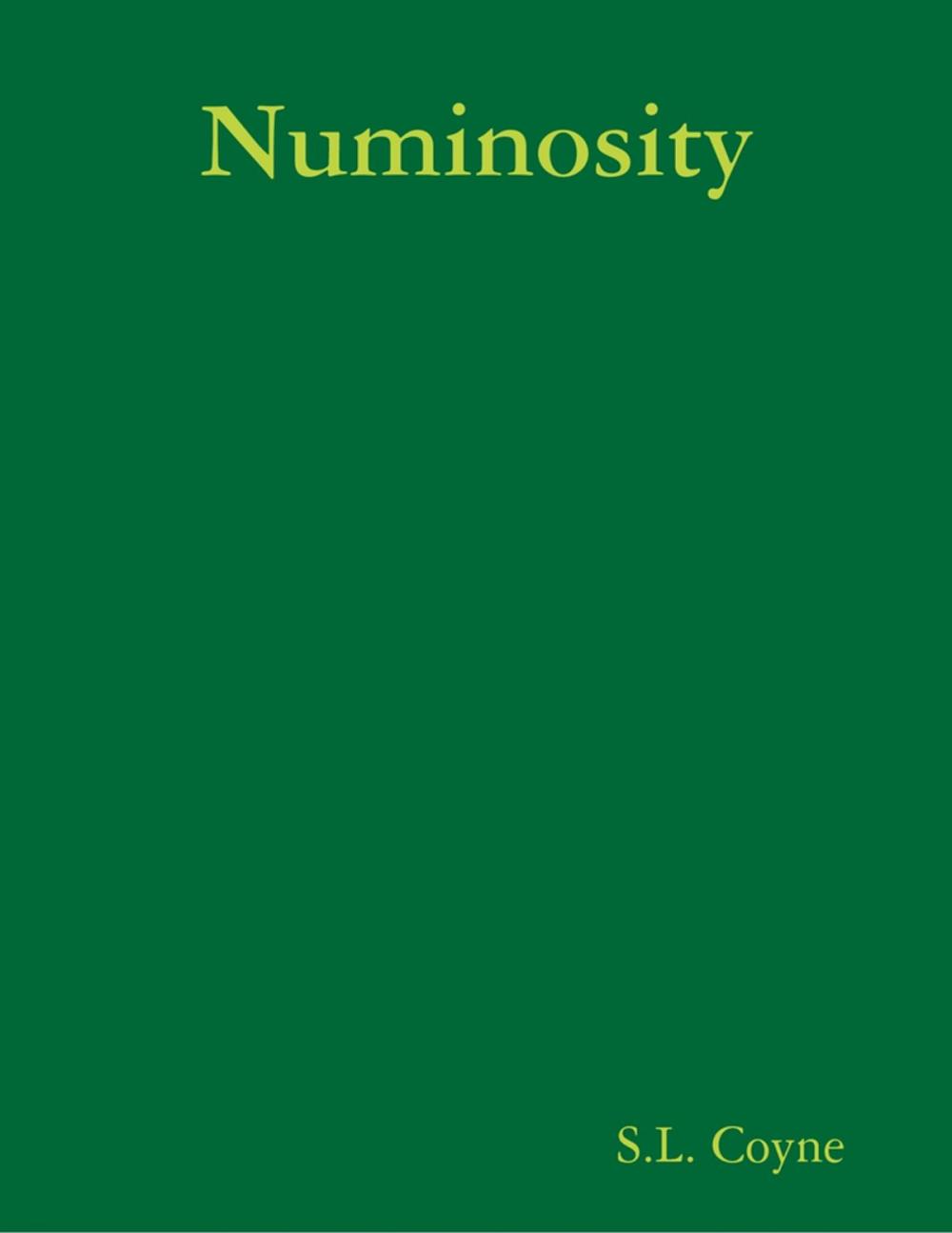 Big bigCover of Numinosity