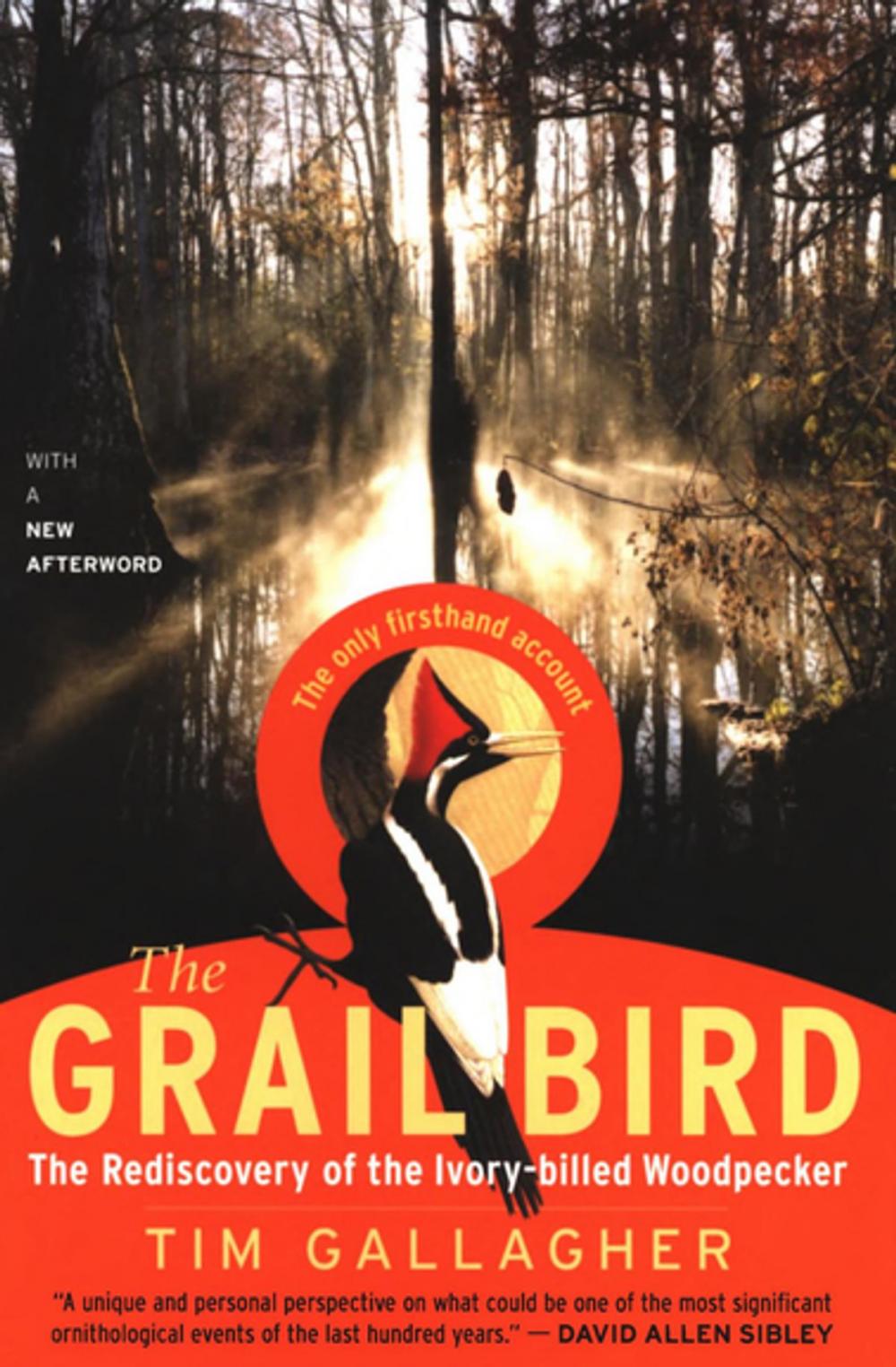 Big bigCover of The Grail Bird