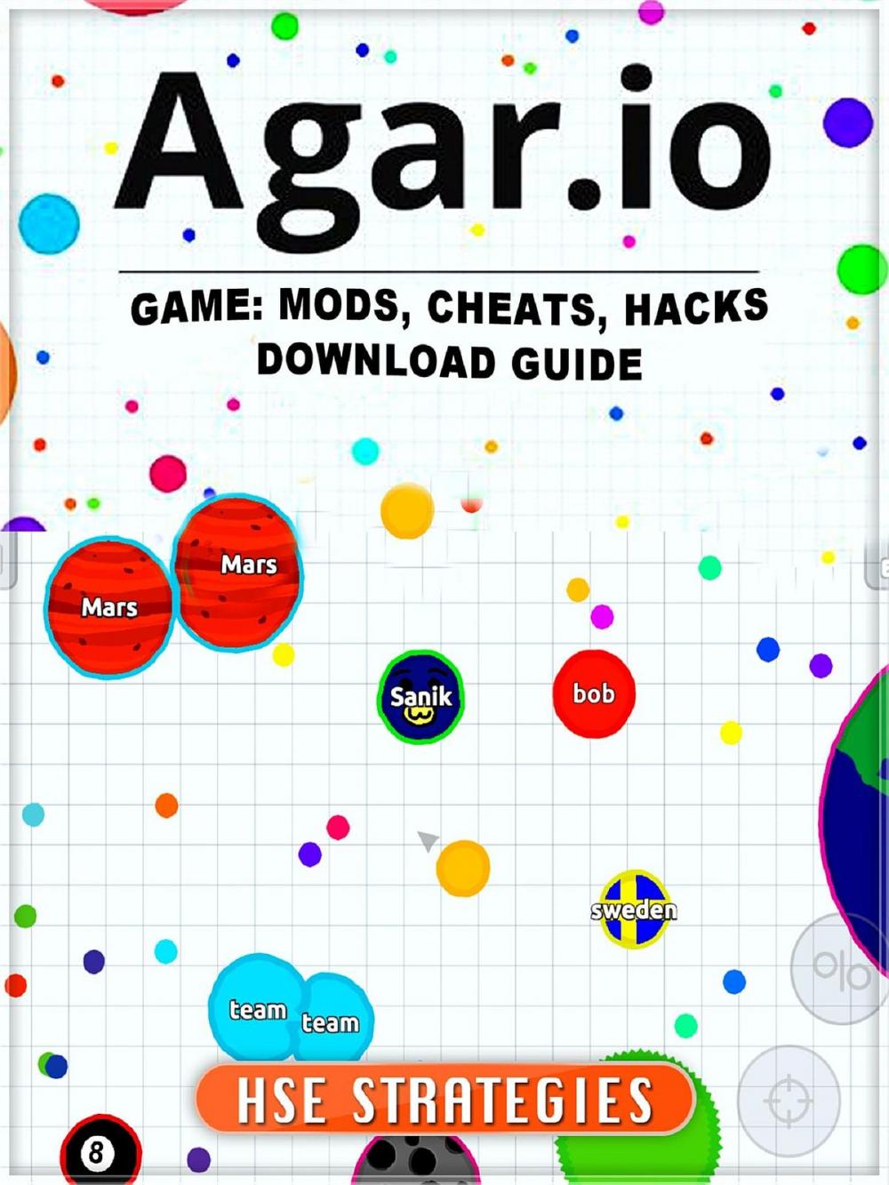 Big bigCover of Agar.io Game