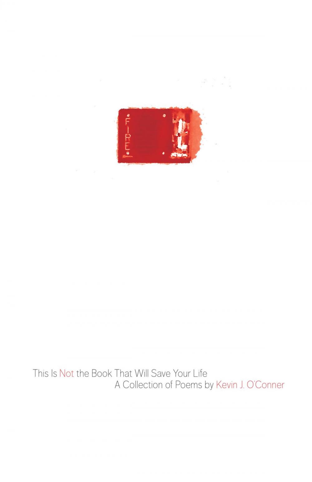 Big bigCover of This Is Not the Book That Will Save Your Life