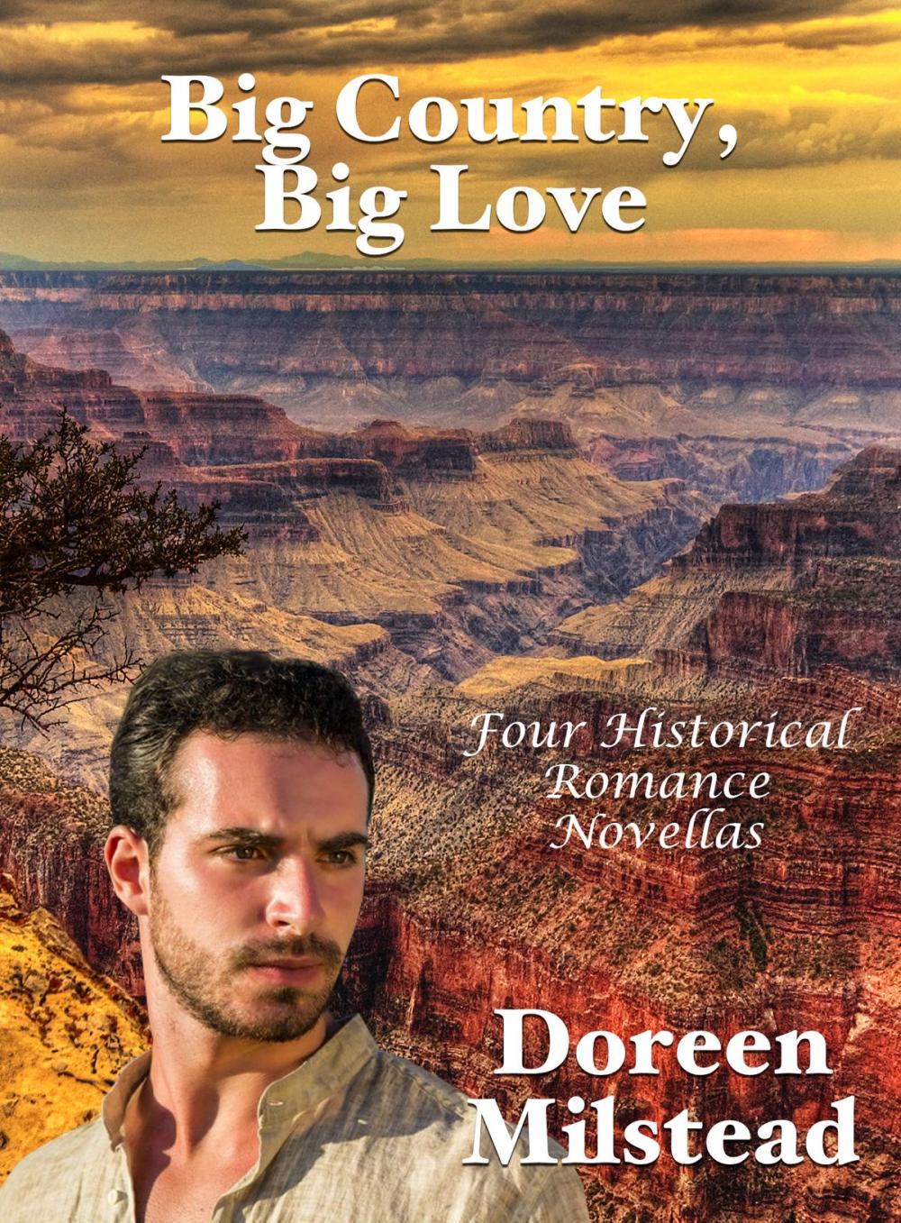 Big bigCover of Big Country, Big Love: Four Historical Romance Novellas