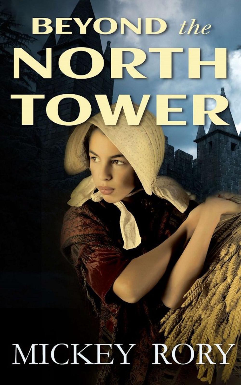 Big bigCover of Beyond the North Tower