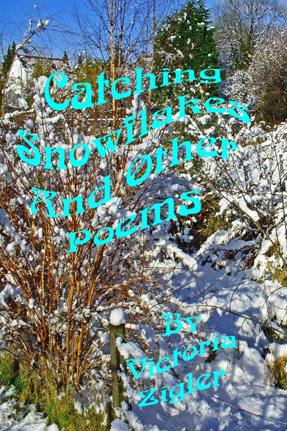 Big bigCover of Catching Snowflakes And Other Poems