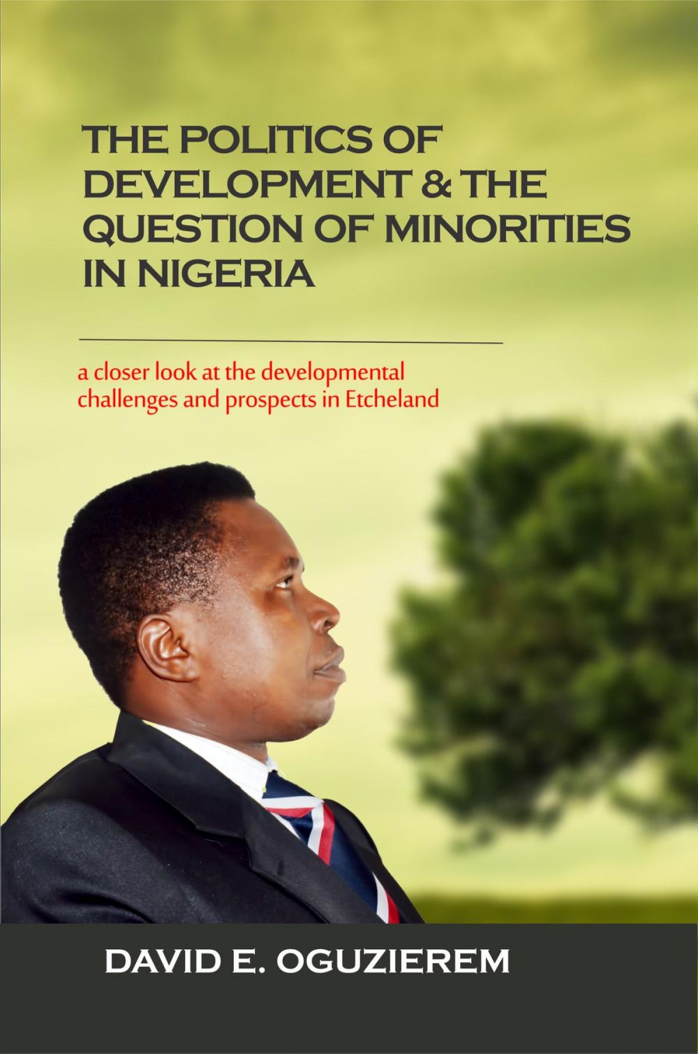 Big bigCover of The Politics of Development & The Question of Minorities in Nigeria: A Closer Look At The Developmental Challenges And Prospects Of The Etche Nation Of Rivers State