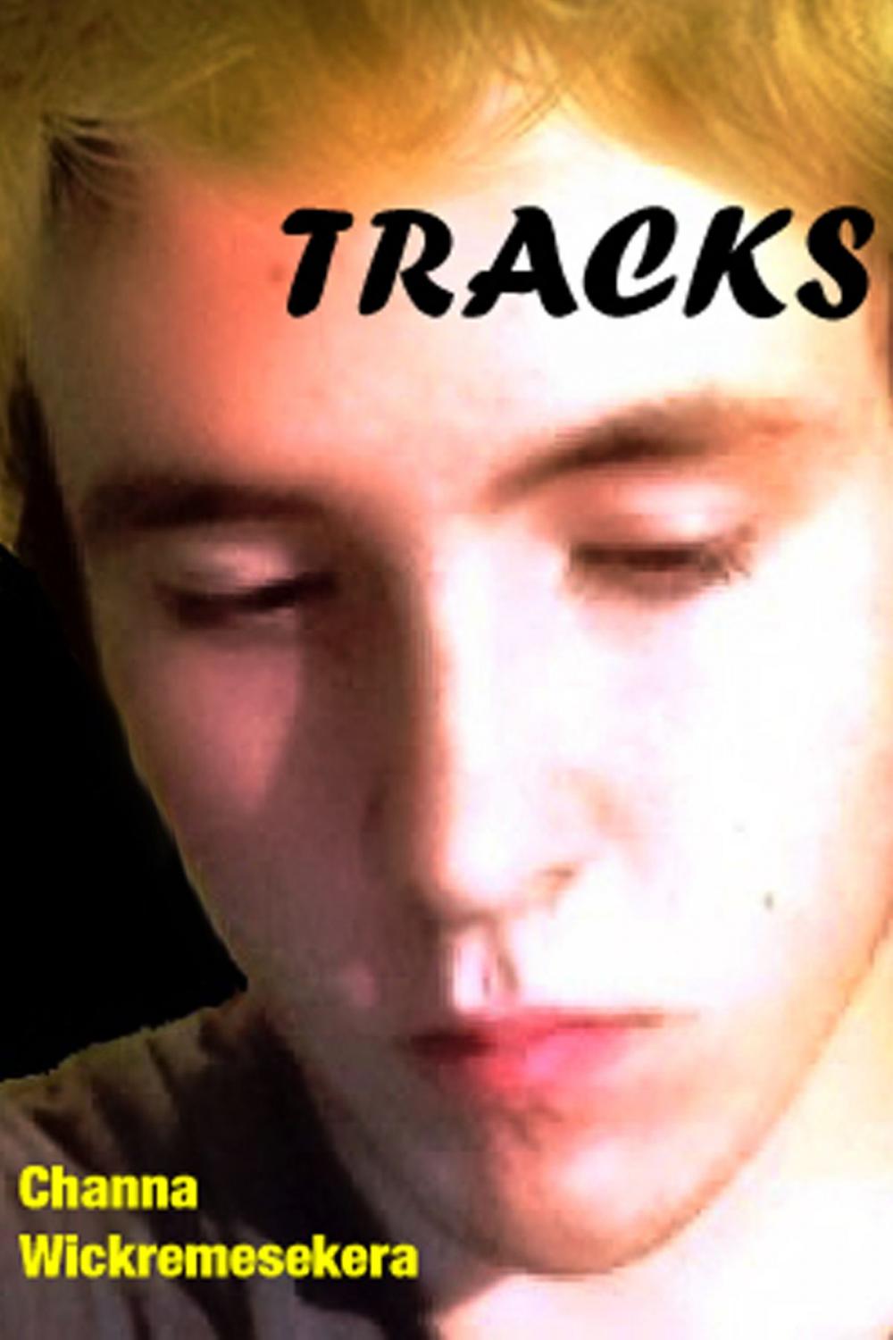 Big bigCover of Tracks