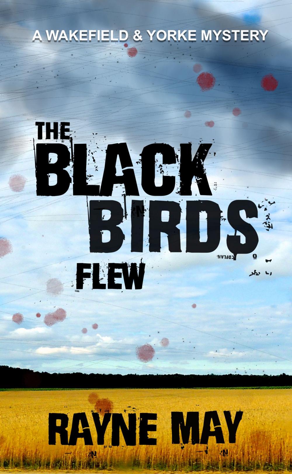 Big bigCover of The Black Birds Flew