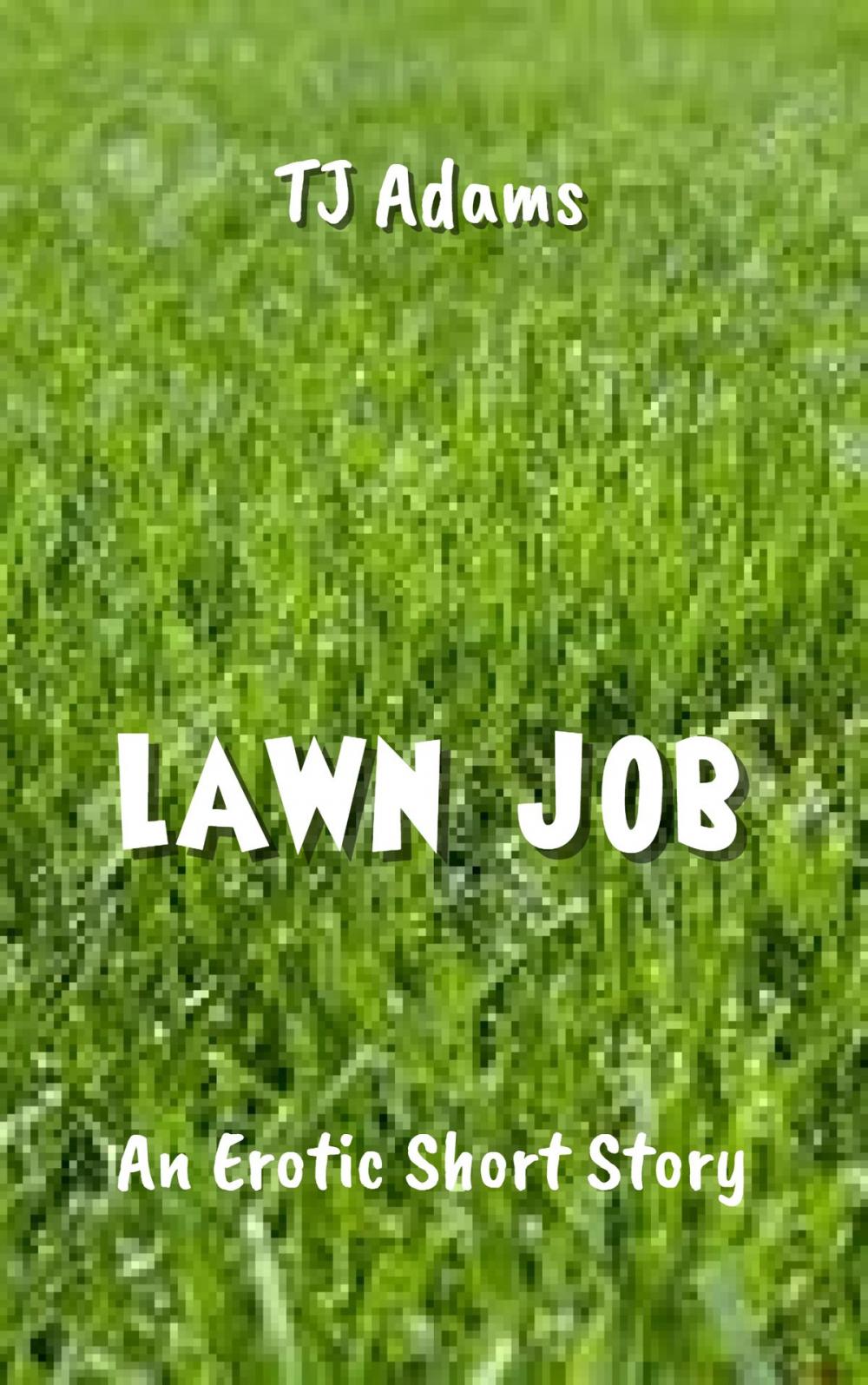 Big bigCover of Lawn Job