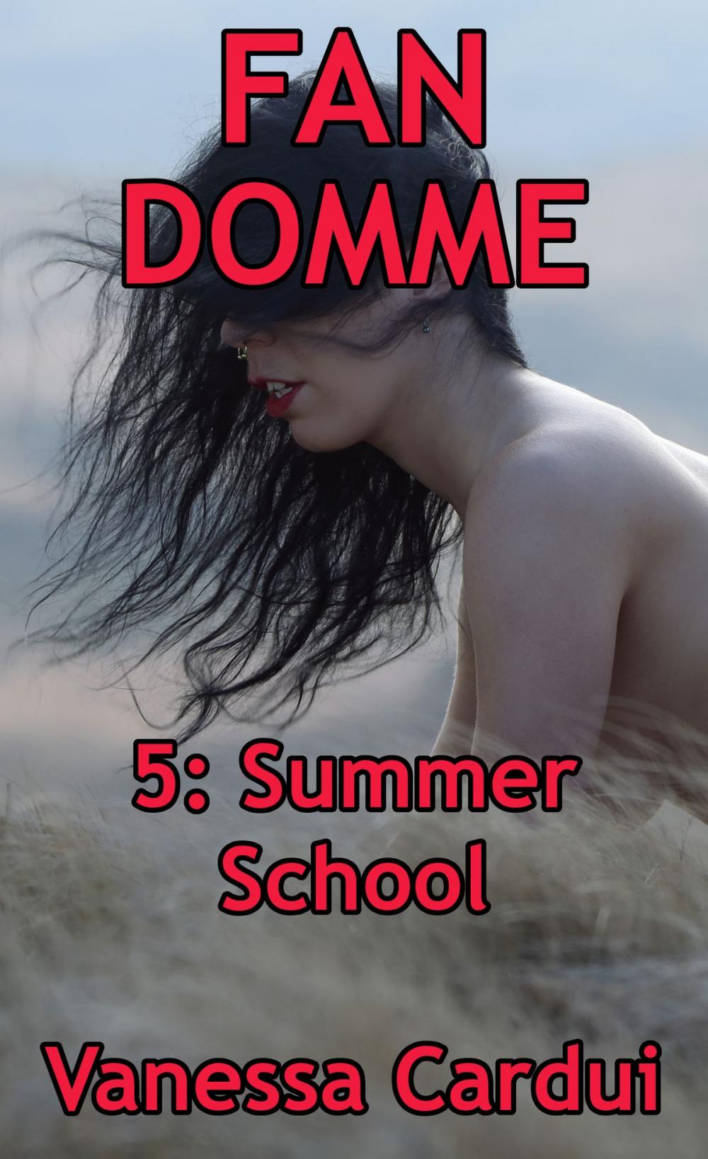 Big bigCover of Summer School