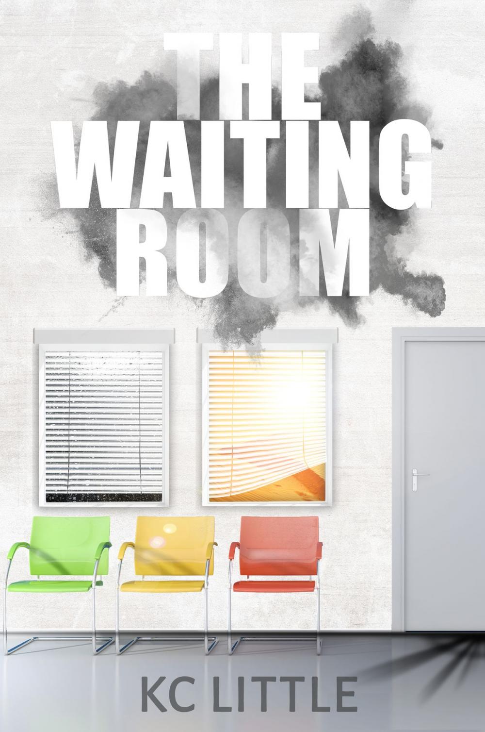 Big bigCover of The Waiting Room