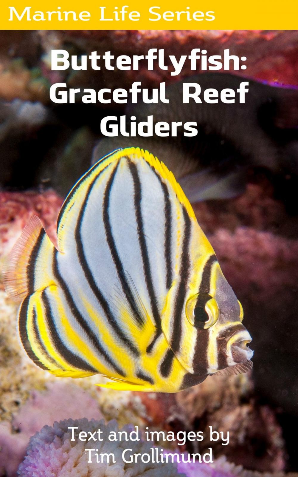 Big bigCover of Butterflyfish: Graceful Reef Gliders