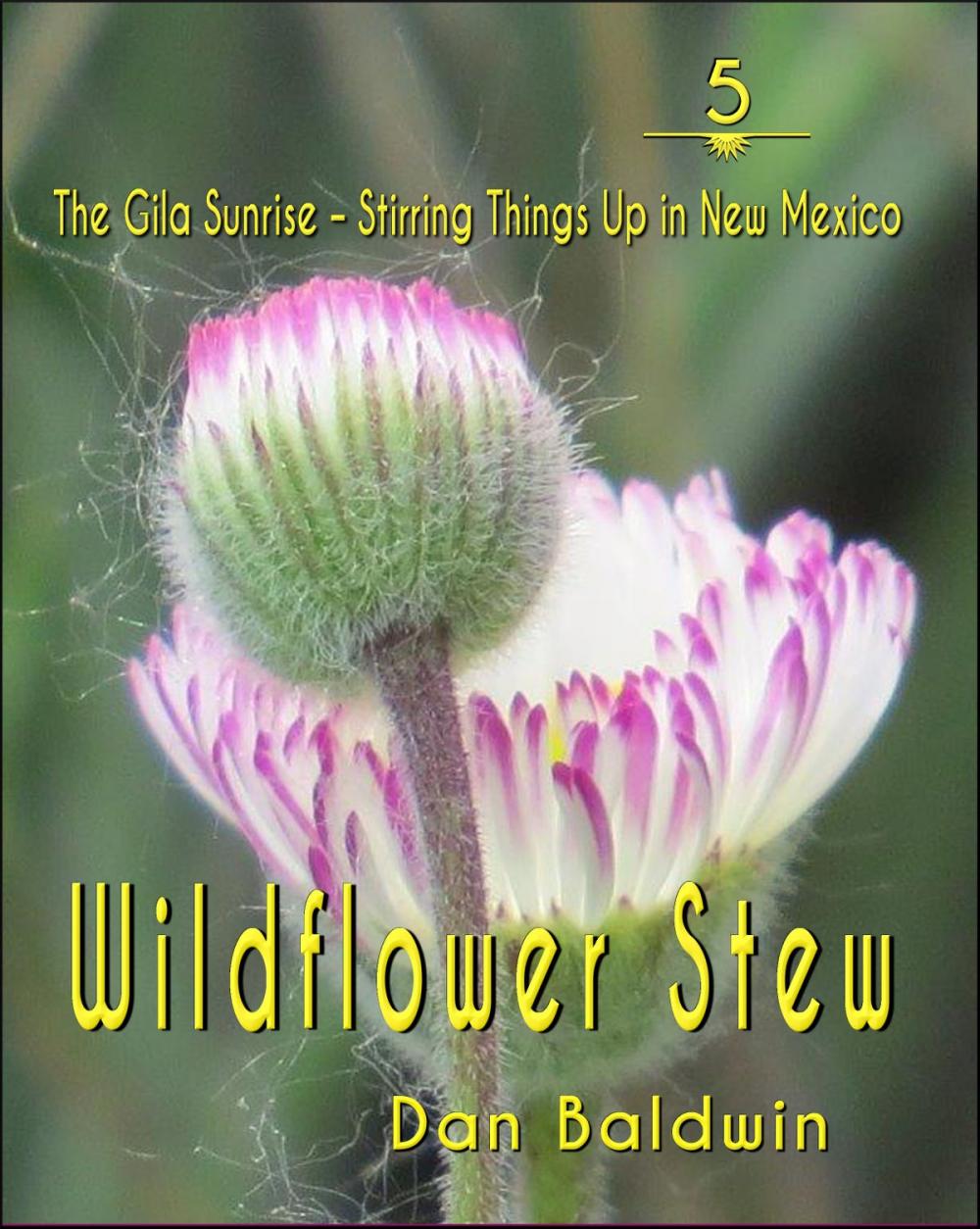 Big bigCover of Wildflower Stew 5